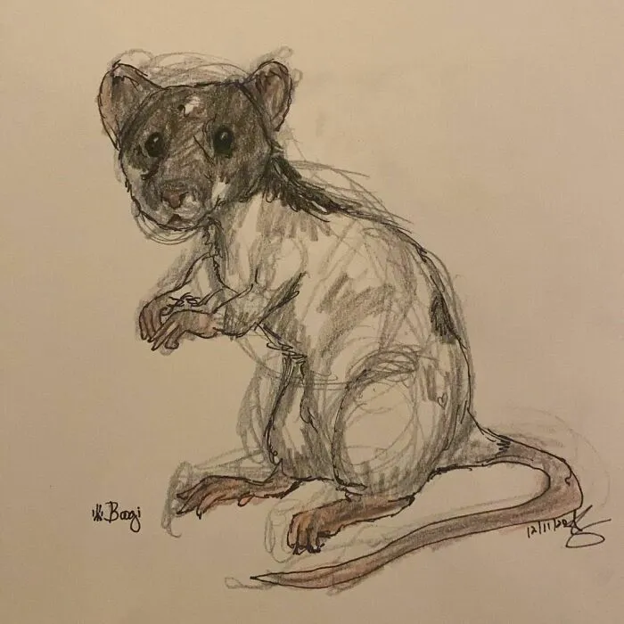 Pet Portraits For Charity