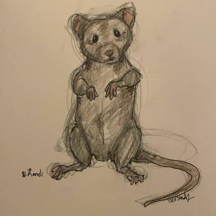 I Draw Pet Portraits On Request And Then Donate The Received Funds To Charity (70 Pics)