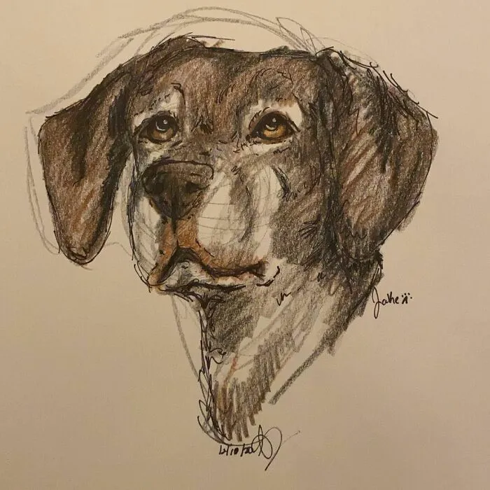 I Draw Pet Portraits On Request And Then Donate The Received Funds To Charity (70 Pics)