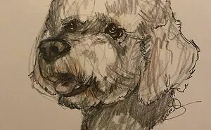 I Draw Pet Portraits On Request And Then Donate The Received Funds To Charity (70 Pics)