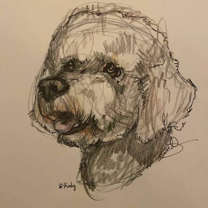 Pet Portraits For Charity