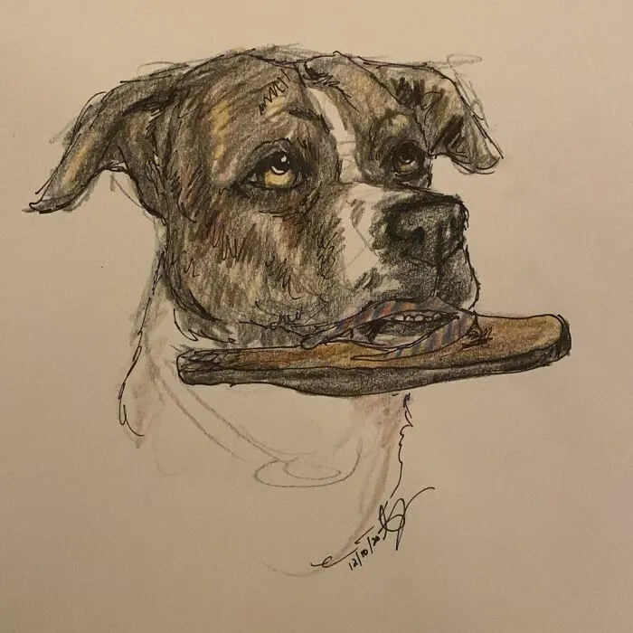 I Draw Pet Portraits On Request And Then Donate The Received Funds To Charity (70 Pics)
