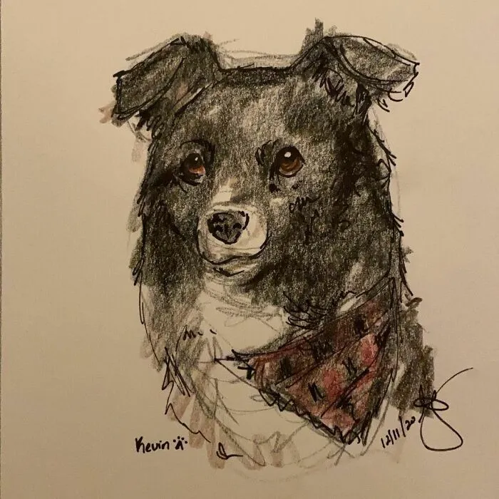 I Draw Pet Portraits On Request And Then Donate The Received Funds To Charity (70 Pics)