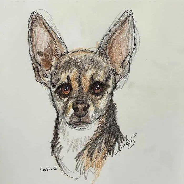 I Draw Pet Portraits On Request And Then Donate The Received Funds To Charity (70 Pics)