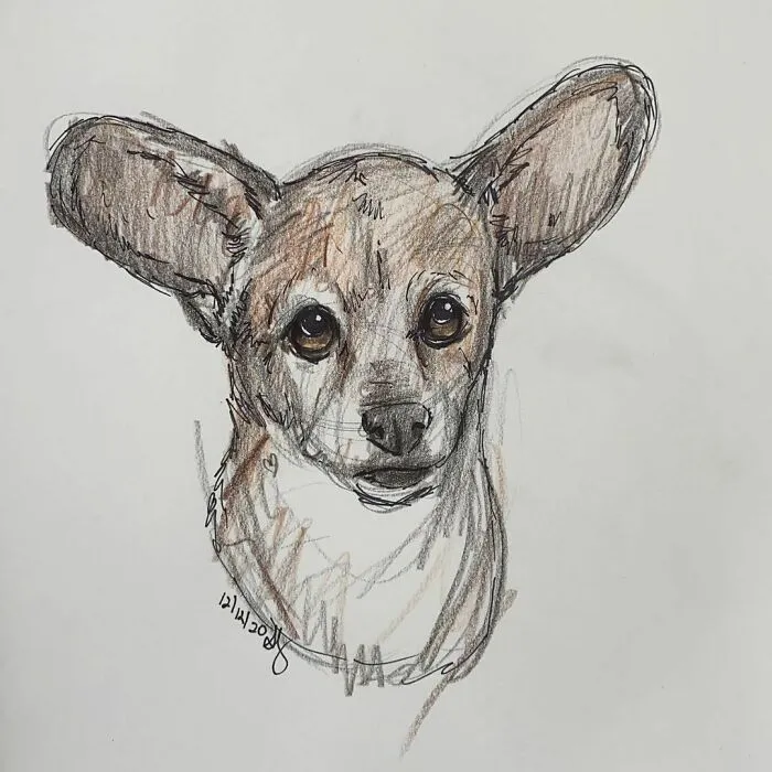 I Draw Pet Portraits On Request And Then Donate The Received Funds To Charity (70 Pics)