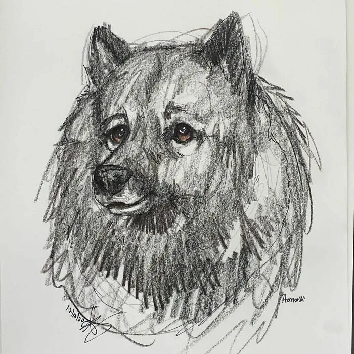 I Draw Pet Portraits On Request And Then Donate The Received Funds To Charity (70 Pics)