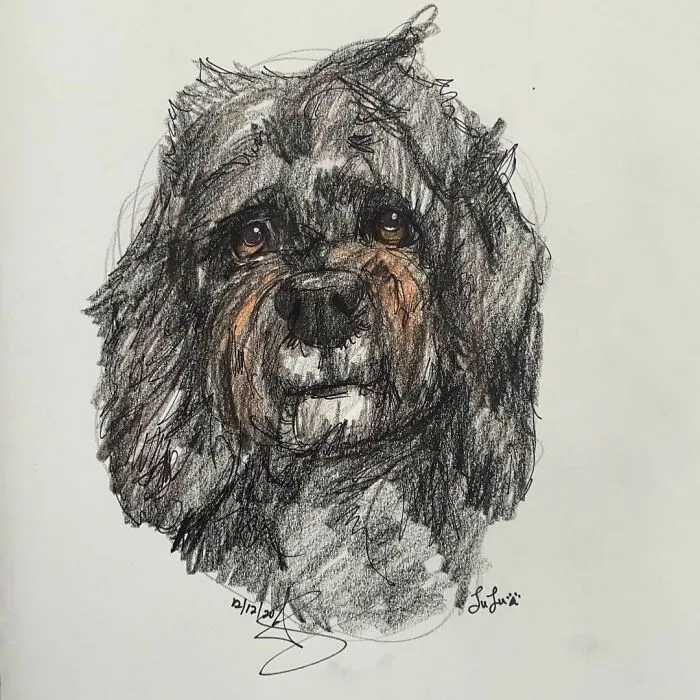 I Draw Pet Portraits On Request And Then Donate The Received Funds To Charity (70 Pics)
