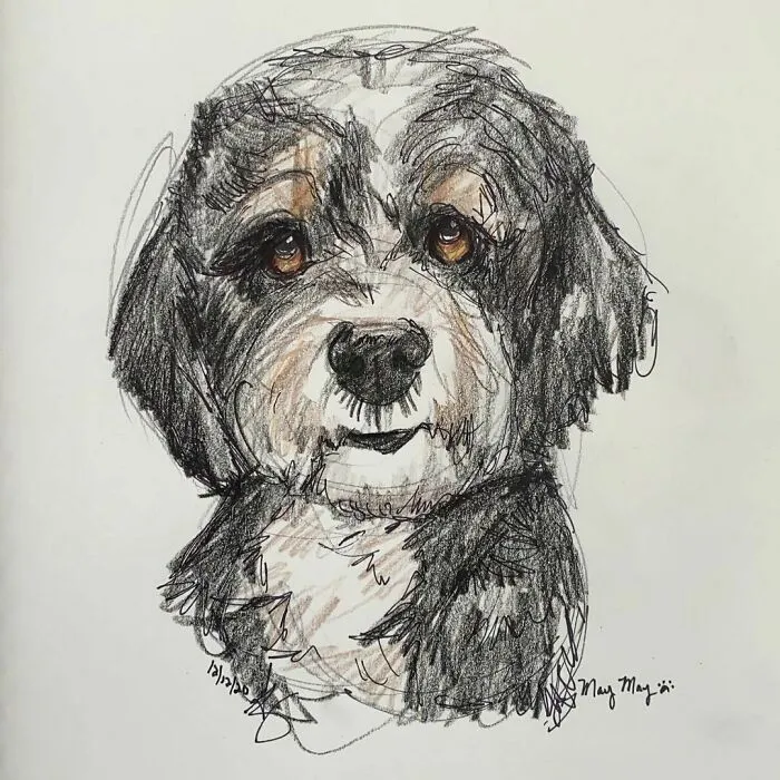 I Draw Pet Portraits On Request And Then Donate The Received Funds To Charity (70 Pics)