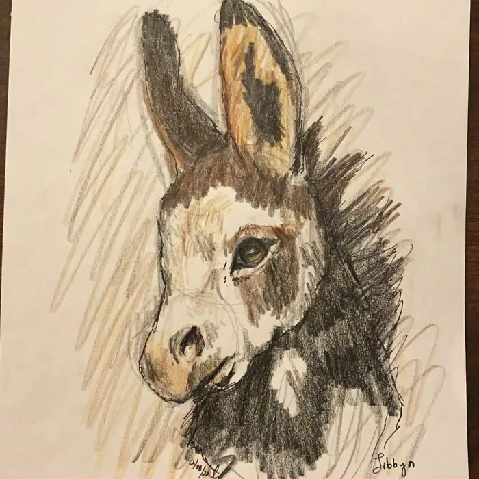 I Draw Pet Portraits On Request And Then Donate The Received Funds To Charity (70 Pics)