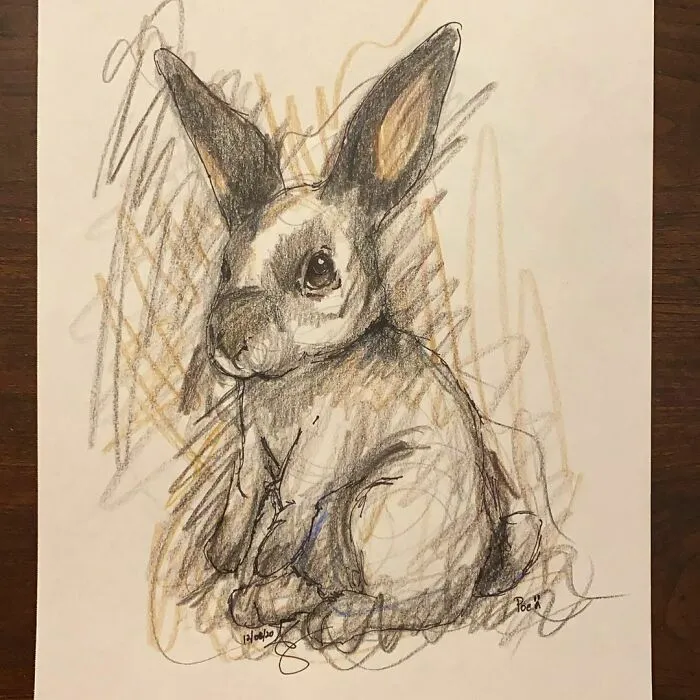 I Draw Pet Portraits On Request And Then Donate The Received Funds To Charity (70 Pics)