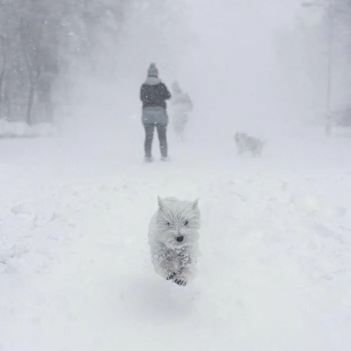 Snowfall In Spain