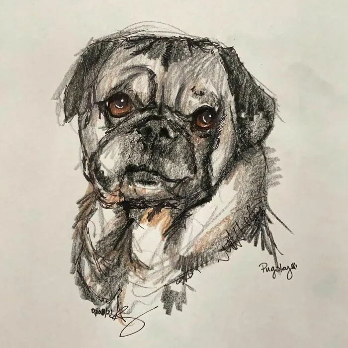 I Draw Pet Portraits On Request And Then Donate The Received Funds To Charity (70 Pics)