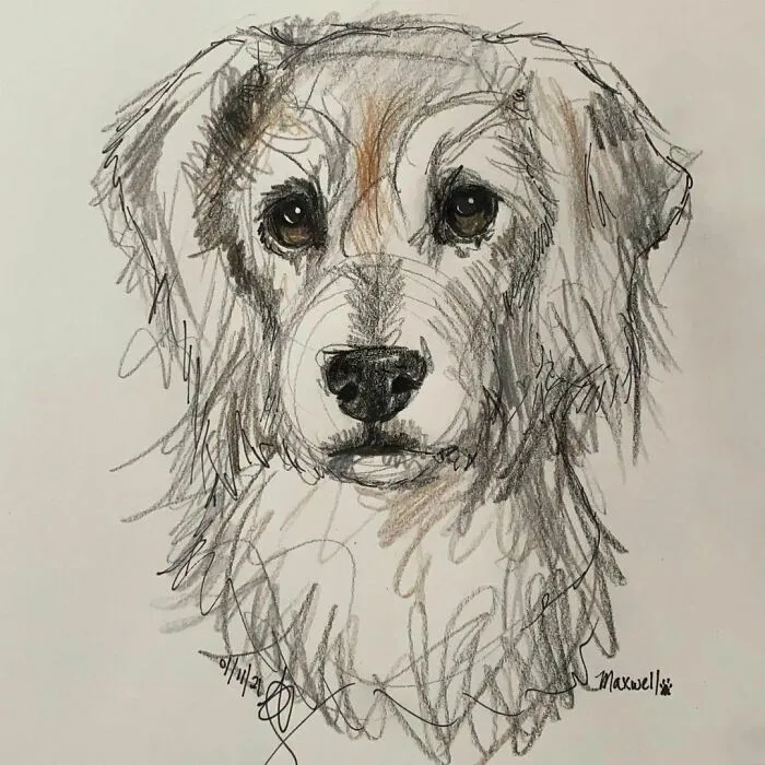 I Draw Pet Portraits On Request And Then Donate The Received Funds To Charity (70 Pics)