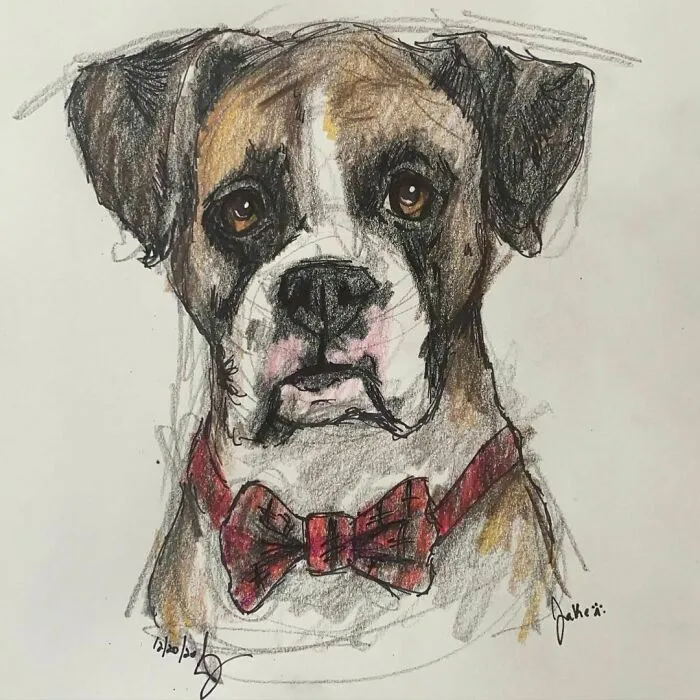 I Draw Pet Portraits On Request And Then Donate The Received Funds To Charity (70 Pics)