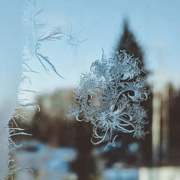 30 Pictures That Show How Unfathomably Cold It Is In Russia Right Now