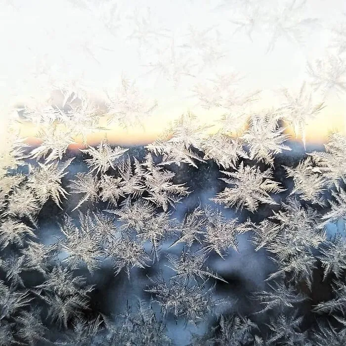 30 Pictures That Show How Unfathomably Cold It Is In Russia Right Now