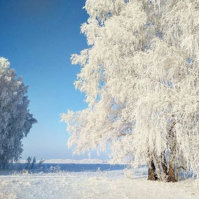 30 Pictures That Show How Unfathomably Cold It Is In Russia Right Now