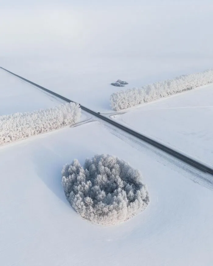 30 Pictures That Show How Unfathomably Cold It Is In Russia Right Now
