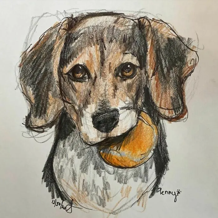 I Draw Pet Portraits On Request And Then Donate The Received Funds To Charity (70 Pics)