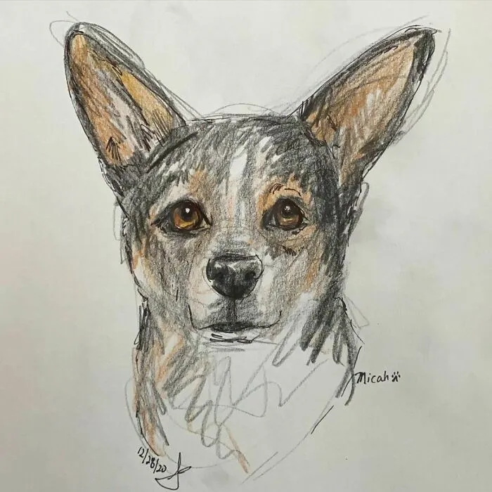 I Draw Pet Portraits On Request And Then Donate The Received Funds To Charity (70 Pics)