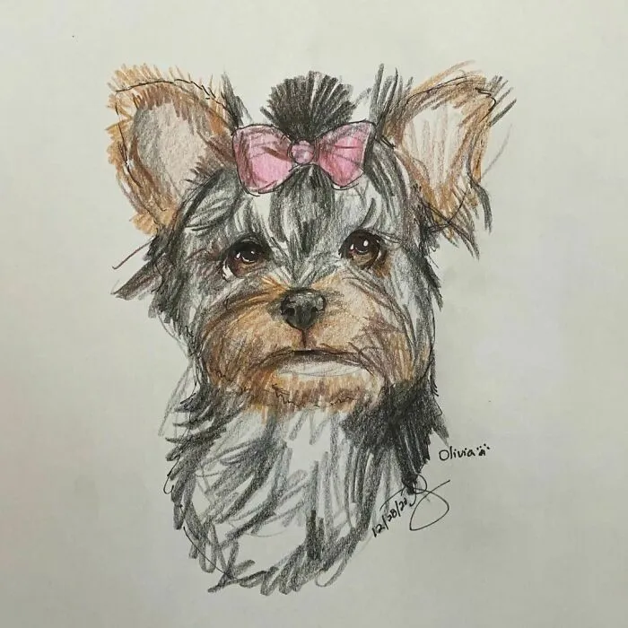 I Draw Pet Portraits On Request And Then Donate The Received Funds To Charity (70 Pics)