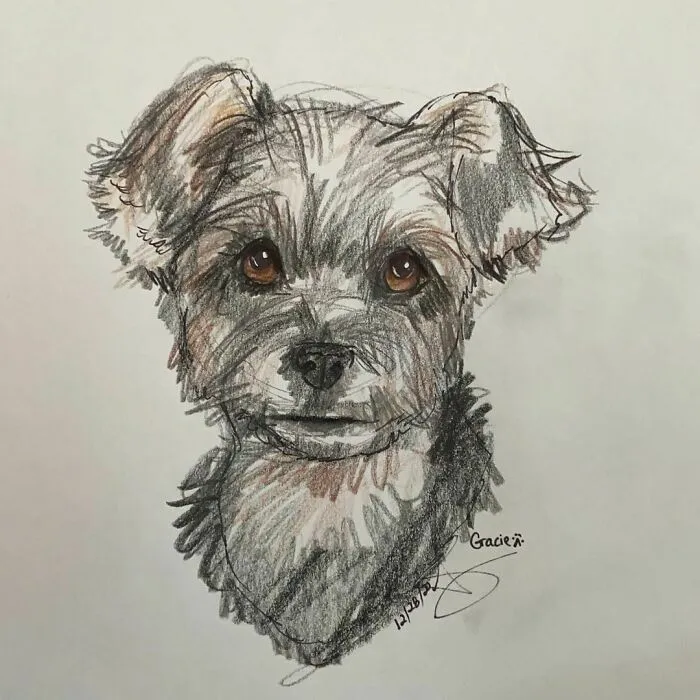 I Draw Pet Portraits On Request And Then Donate The Received Funds To Charity (70 Pics)