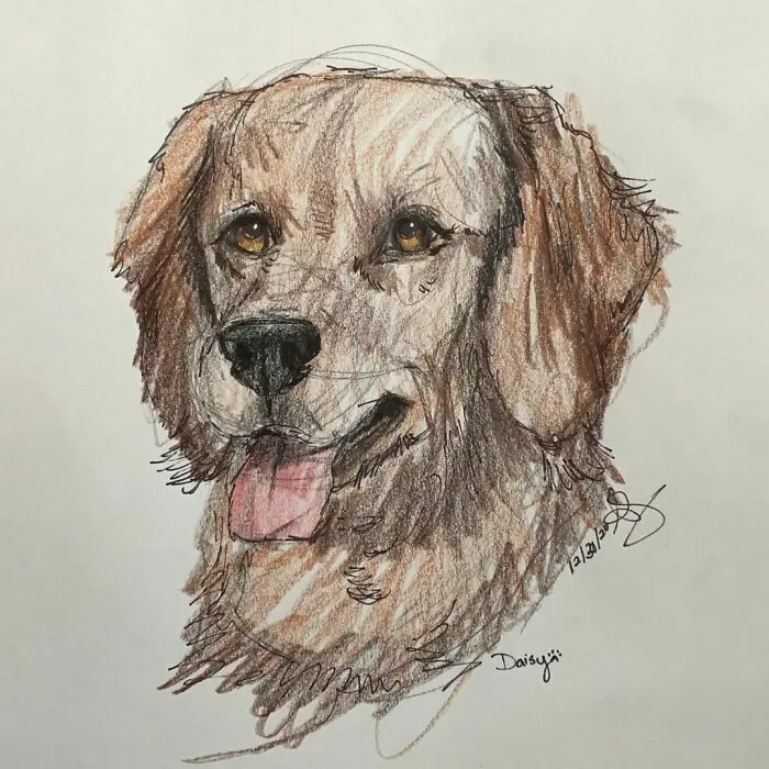 I Draw Pet Portraits On Request And Then Donate The Received Funds To Charity (70 Pics)