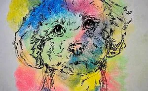 I Draw Pet Portraits On Request And Then Donate The Received Funds To Charity (70 Pics)