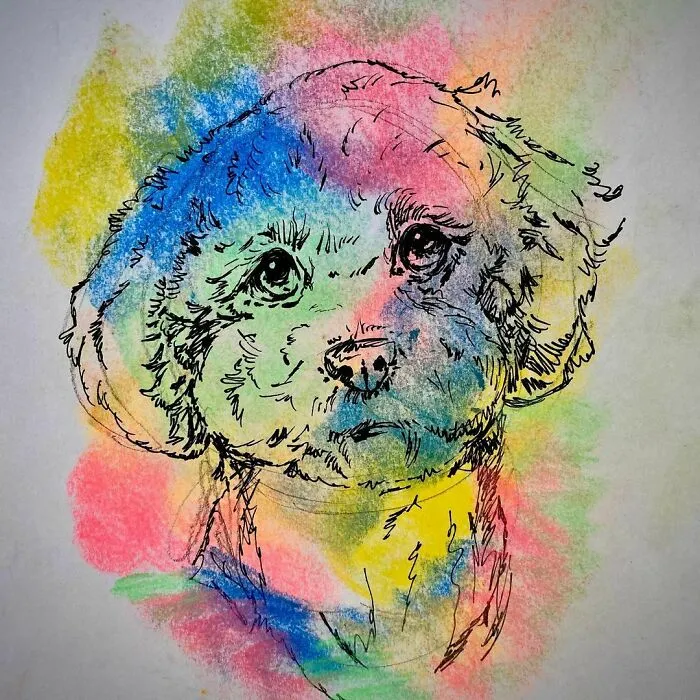 I Draw Pet Portraits On Request And Then Donate The Received Funds To Charity (70 Pics)