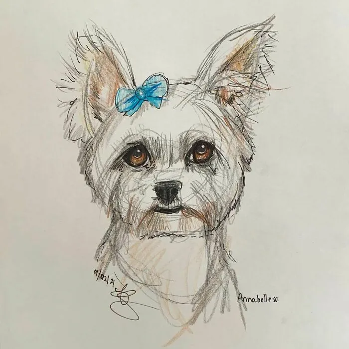 I Draw Pet Portraits On Request And Then Donate The Received Funds To Charity (70 Pics)