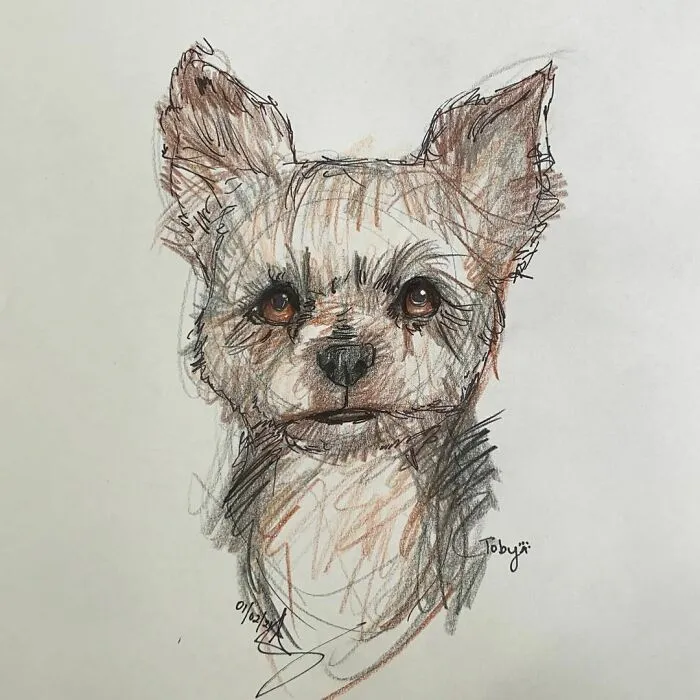 I Draw Pet Portraits On Request And Then Donate The Received Funds To Charity (70 Pics)