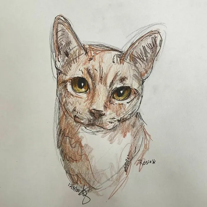 I Draw Pet Portraits On Request And Then Donate The Received Funds To Charity (70 Pics)