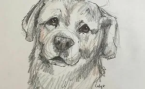 I Draw Pet Portraits On Request And Then Donate The Received Funds To Charity (70 Pics)
