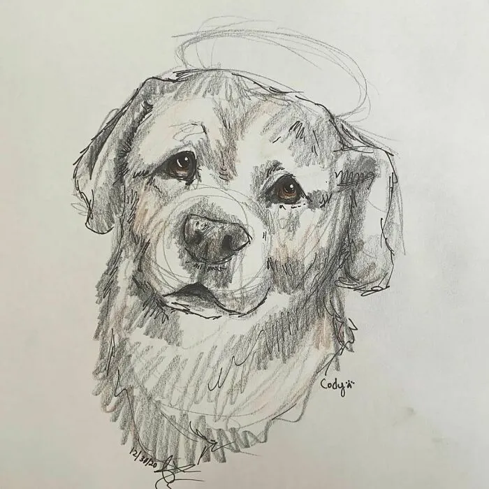 Pet Portraits For Charity