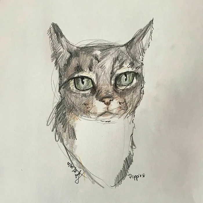I Draw Pet Portraits On Request And Then Donate The Received Funds To Charity (70 Pics)