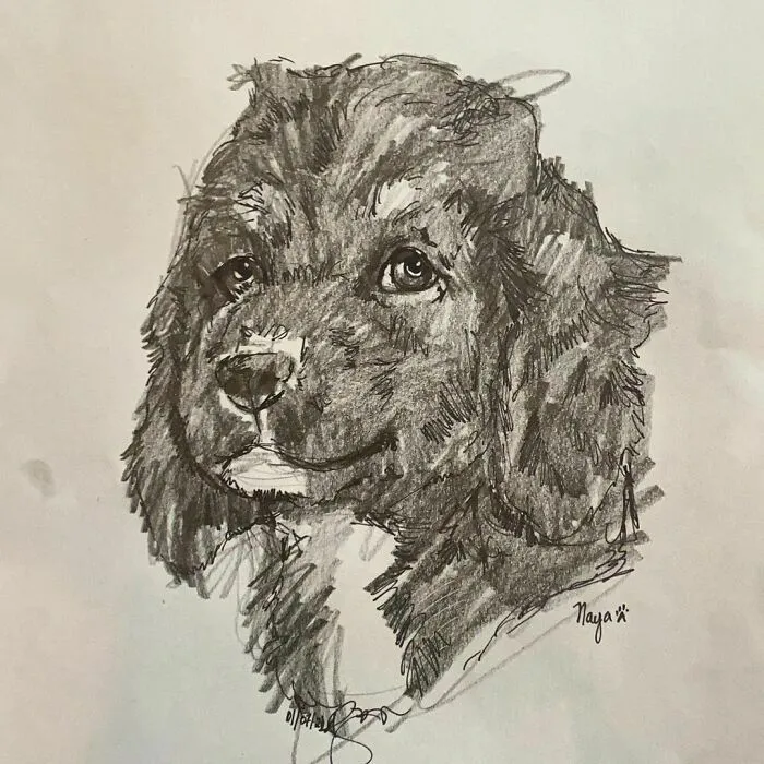 I Draw Pet Portraits On Request And Then Donate The Received Funds To Charity (70 Pics)