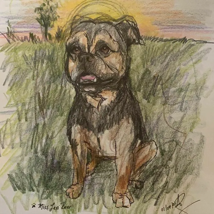I Draw Pet Portraits On Request And Then Donate The Received Funds To Charity (70 Pics)