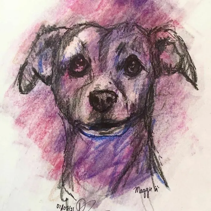 I Draw Pet Portraits On Request And Then Donate The Received Funds To Charity (70 Pics)