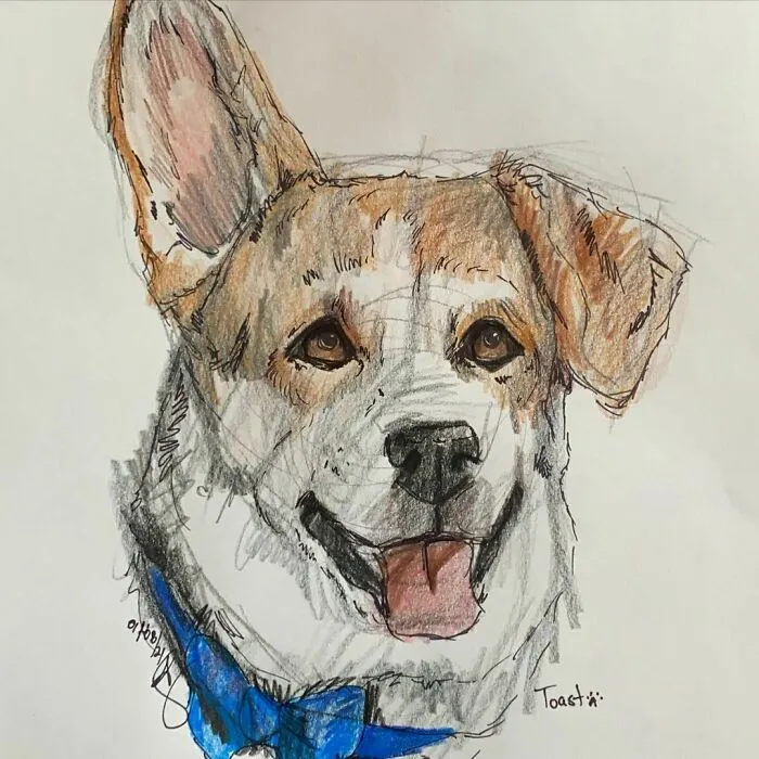 I Draw Pet Portraits On Request And Then Donate The Received Funds To Charity (70 Pics)