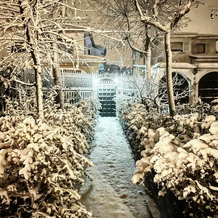 Snowfall