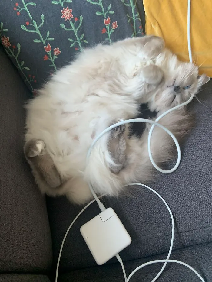Sleeping With The Eyes Open...