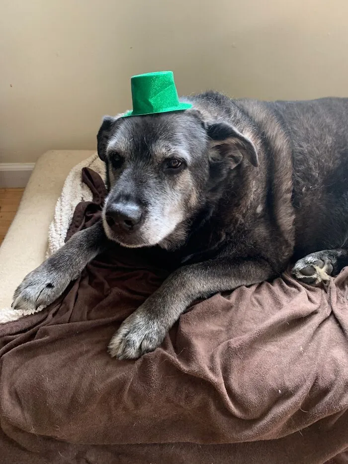 My Other Old Man