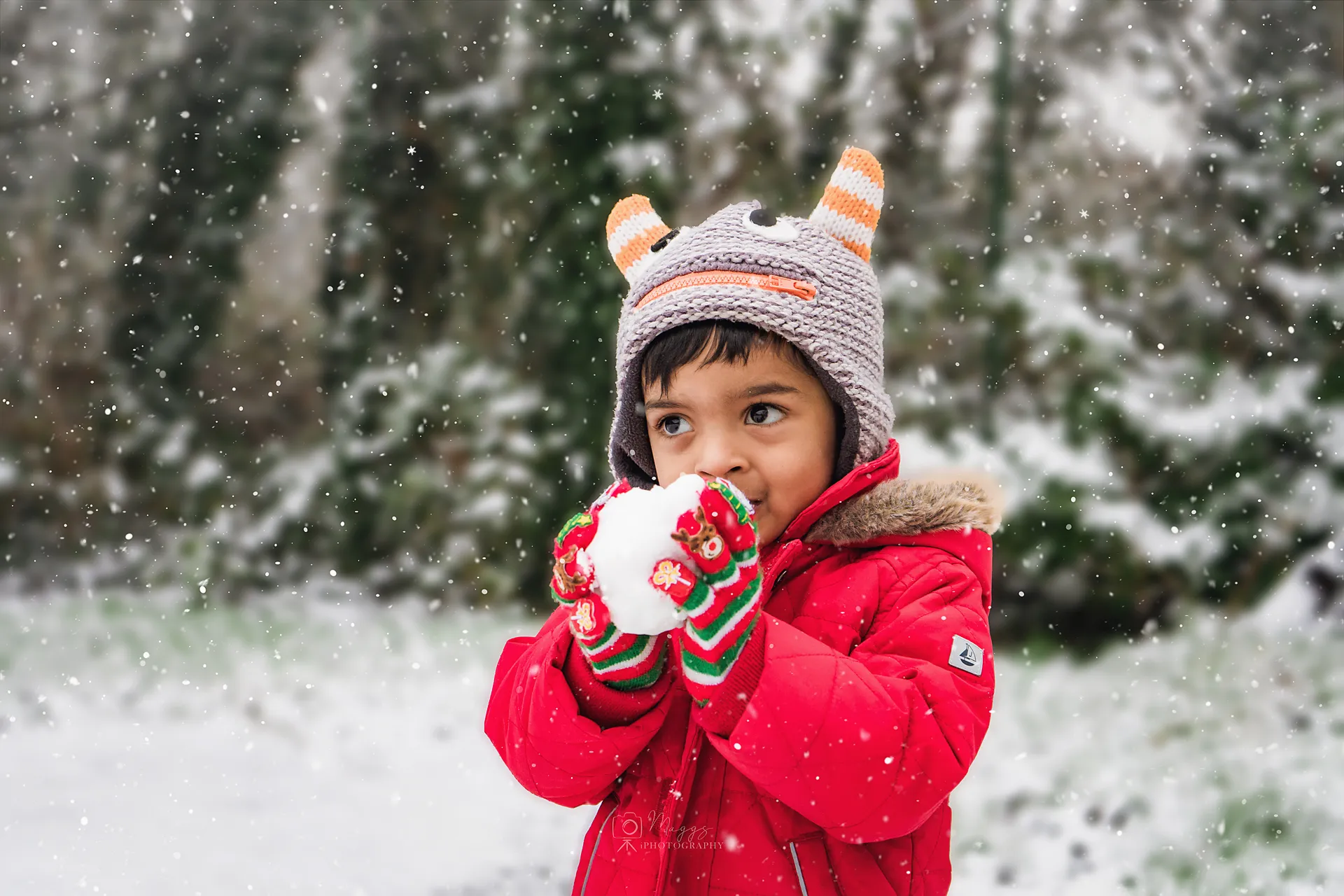 Snowy New Year's Eve