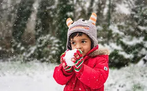 Snowy New Year's Eve