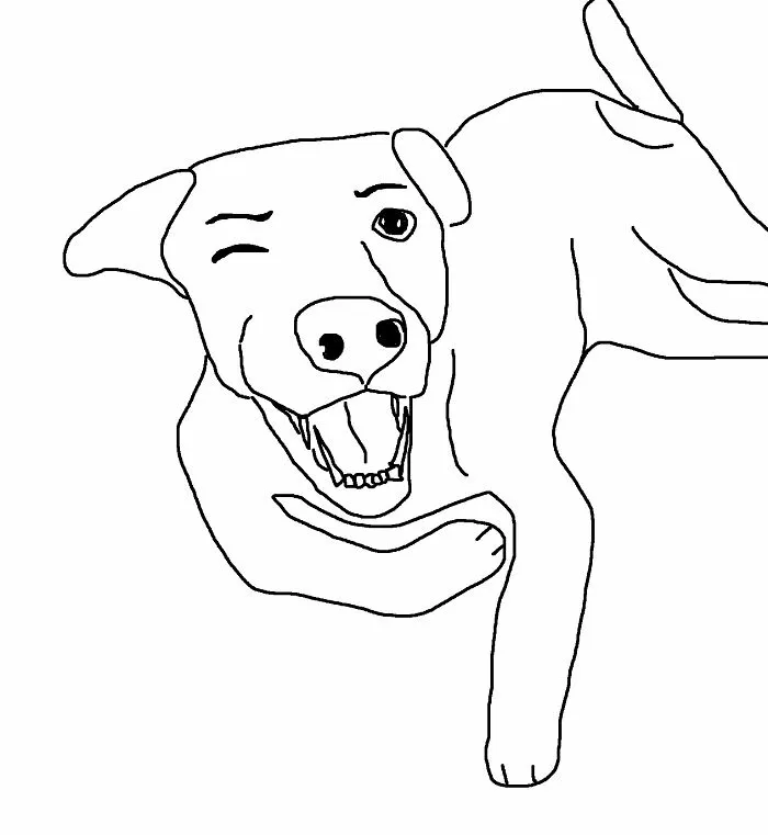 Suggestive Dog