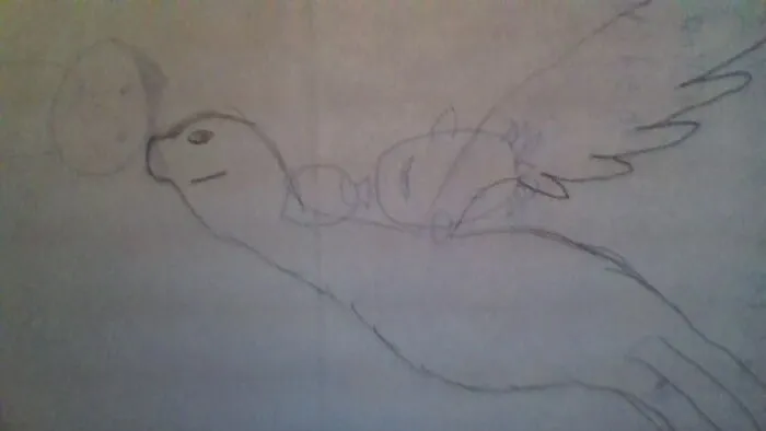 Sorry Guys I Am Really Bad At Drawing.