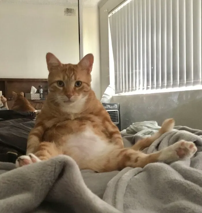 “Get Up! Need Food!”