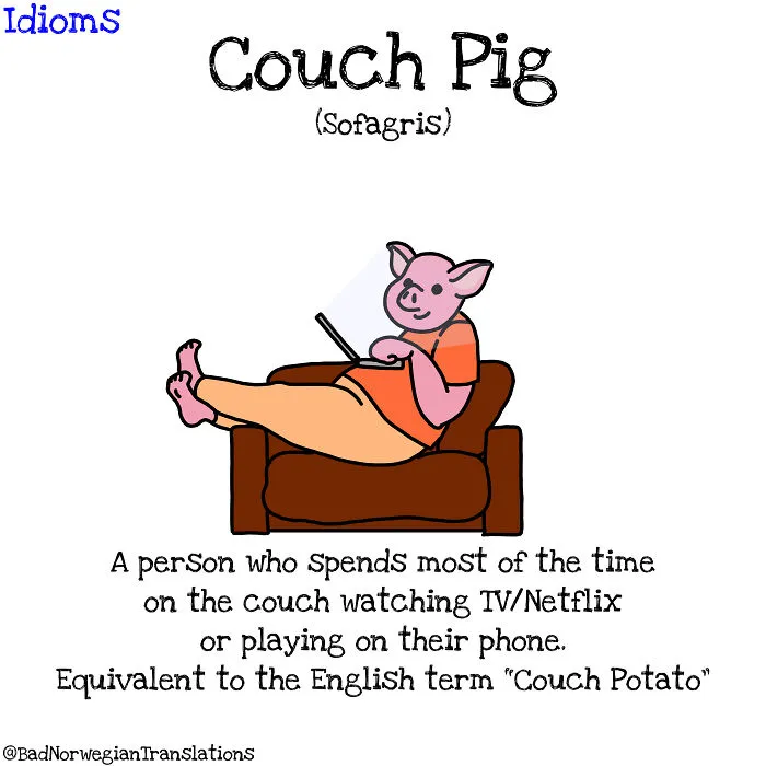I Illustrate Norwegian-To-English Idiom Translations To Show How Weird They Can Be To Non-Native Speakers (16 Pics)