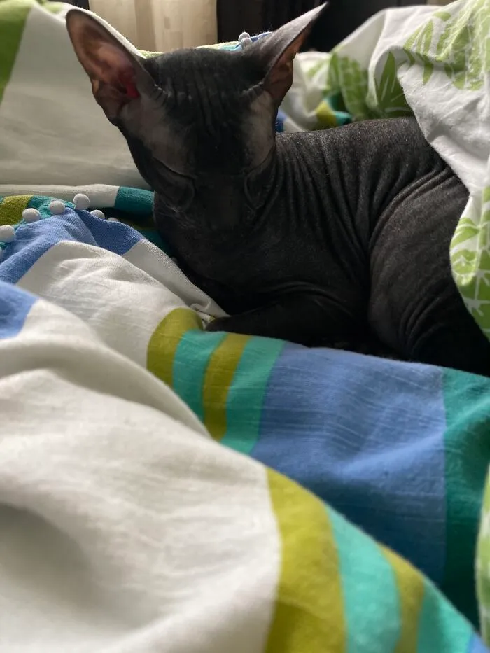 Sleeping Beauty