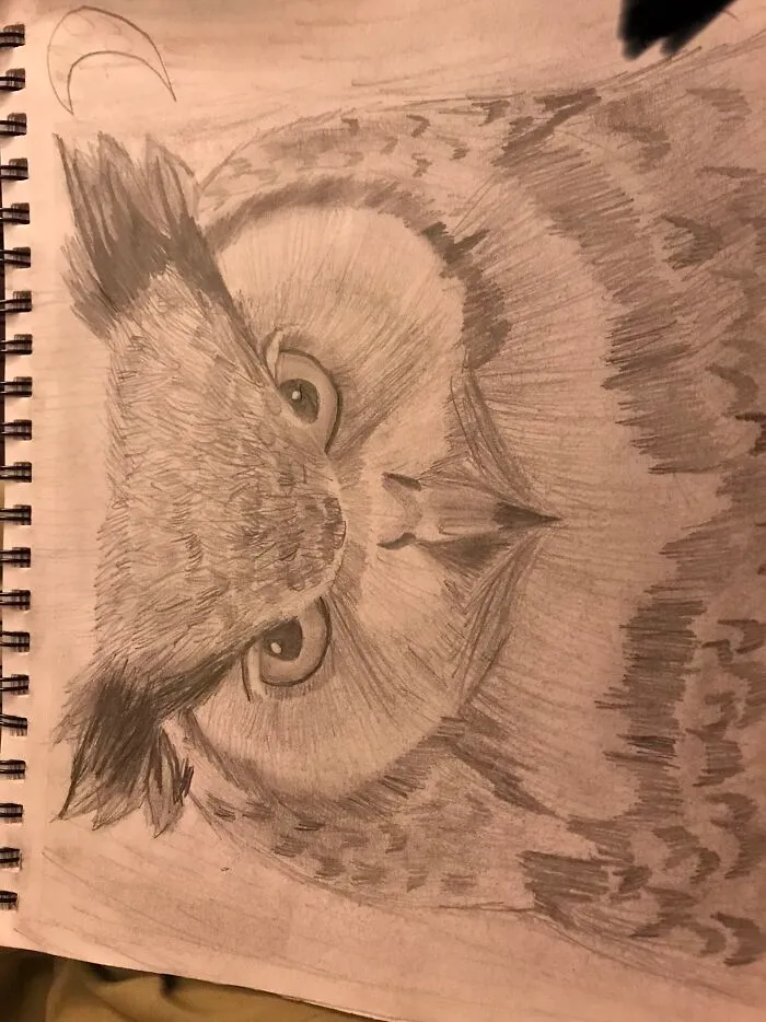 Sorry It’s Sideways. I Drew This At School And My Art Class Started Calling It The Demon Owl